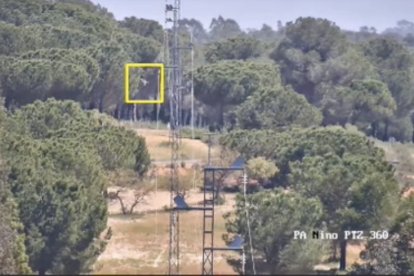 Detección de aves y su impacto en la red eléctrica a través del trabajo de Górriz.