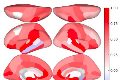 Imágenes de los trabajos del investigador almeriense.