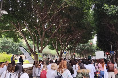 Manifestación sanitaria contra el nuevo Estatuto Marco, este jueves 11 de diciembre, en el marco de la huelga médica del 9 al 12 de diciembre.