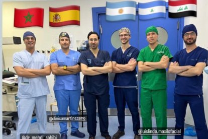 José Luis Martínez-Amo junto a un equipo de especialistas de diversos países