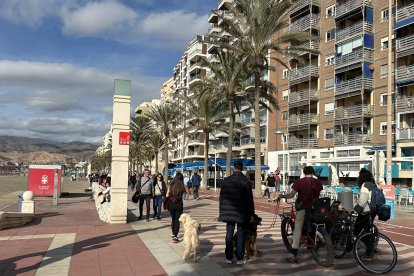 Así empiezan los almerienses el año 2026, en imágenes.