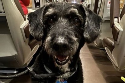 Boro en una foto tomada en el tren siniestrado.