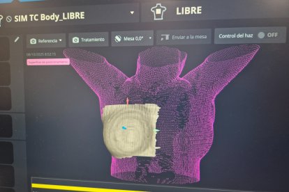 Así se ven las pruebas en pantalla