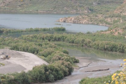 Pero si el presente y en el futuro de la provincia el pilar sobre el que se sostiene la economía de provincia se escribe con A de Agricultura, al contrario que en la Biblia, al principio no fue el Verbo ni el milagro que llegó del Cielo. Fue el Agua- y no llegó precisamente de las nubes. Llegó del mar y de la bendita locura de aquellos pioneros que cultivaron la arena húmeda de la playa en la aridez inconsolable de Roquetas y El Ejido.
De aquellos locos que cultivaban la arena en el desierto brotaron las primeras ideas que hoy han cristalizado en una inmensa fabrica de productos hortofrutícolas de última generación cultivados bajo más de treinta mil hectáreas y donde se enseña al mundo cómo poniendo la inteligencia en movimiento la provincia con menor índice de lluvia del continente es la que, quizá, mejor utiliza el agua del mundo. El ciclo coordinado de desalación, reutilización, trasvases y aprovechamiento de las aguas subterráneas va a acabar construyendo una autovía del agua única en el mundo en una de sus provincias más desérticas.
La continuidad inteligente en la coordinación de las inversiones estratégicas ya en ejecución o previstas de forma inmediata por la Unión Europea, el gobierno central y la Junta es la mayor garantía de que esa autovía, no solo se hará realidad, sino que servirá de ejemplo de cómo un desierto puede acabar convertido en una pequeña Amazonía sostenible en lo ecológico, lo económico y lo social.
