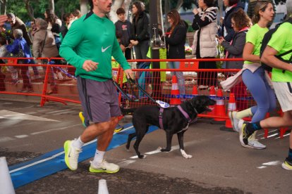 Las mejores imágenes de la II Carrera ‘Almería, en Marcha Contra el Cáncer’.