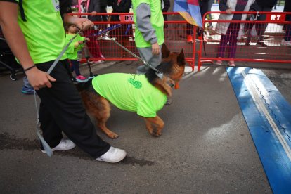 Las mejores imágenes de la II Carrera ‘Almería, en Marcha Contra el Cáncer’.