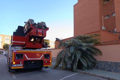 Descripción de la imagen