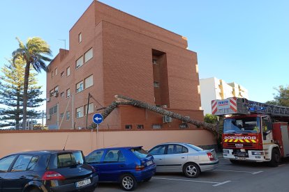 Descripción de la imagen