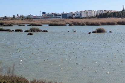 Así luce a día de hoy el Salar de los Canos de Vera.