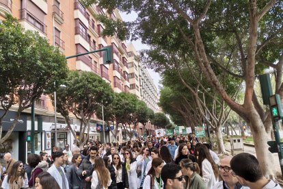 Descripción de la imagen