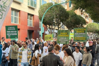 Descripción de la imagen