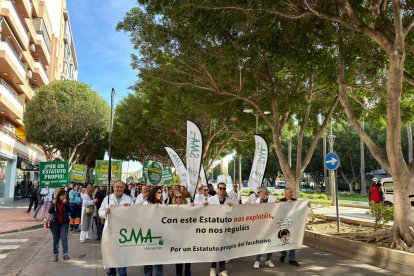 Descripción de la imagen