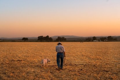 Pastor en campiña (Jaén), de Santi Donaire.