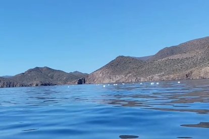 Garrafas de 'petaqueo' a la deriva en Cabo de Gata.