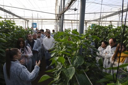 Estación Experimental Cajamar 'Las Palmerillas'