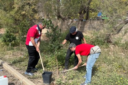 Inauguración de Patios Abiertos en CEIP Adela Díaz.