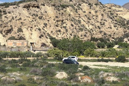 Descripción de la imagen