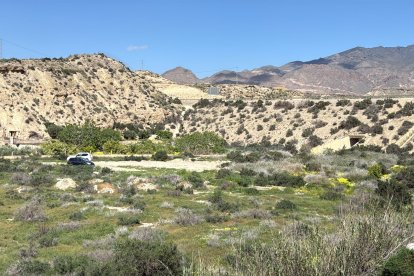 Descripción de la imagen