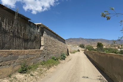 Descripción de la imagen