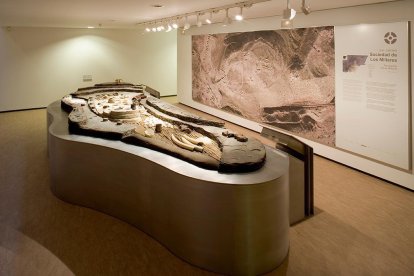 Maqueta de Los Millares, en el Museo Arqueológico de Almería.