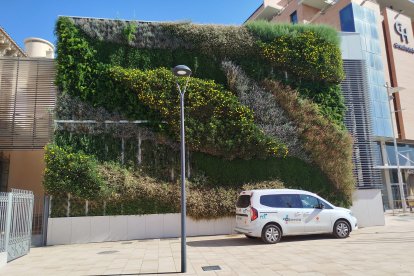 Jardín vertical puesto en marcha en el lateral del espacio expositivo