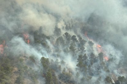 Incendio en el entorno de la Cresta del Gallo, en las cercanías de Murcia.