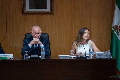 El alcalde Gabriel Amat durante el pleno.