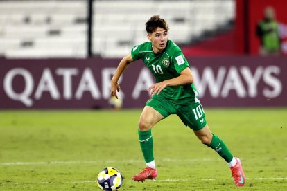 Disputó el Mundial Sub-17 la República de Irlanda.