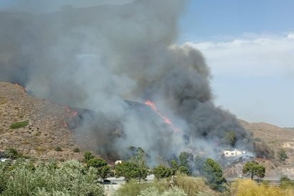 Incendio forestal en Los Gallardos.