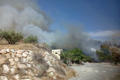 Incendio forestal en Los Gallardos.