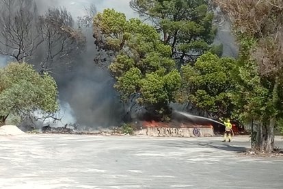 Incendio forestal en Los Gallardos.