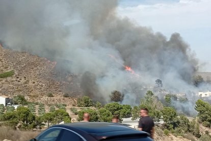 Incendio forestal en Los Gallardos.