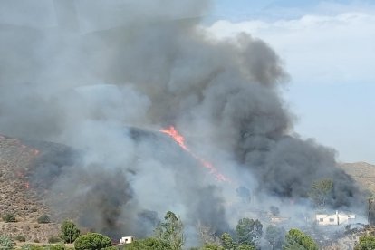 Incendio forestal en Los Gallardos.