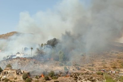 Incendio forestal en Los Gallardos.