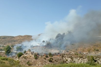Incendio forestal en Los Gallardos.