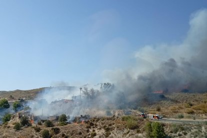 Incendio forestal en Los Gallardos.