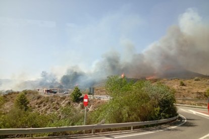 Incendio forestal en Los Gallardos.