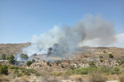 Incendio forestal en Los Gallardos.