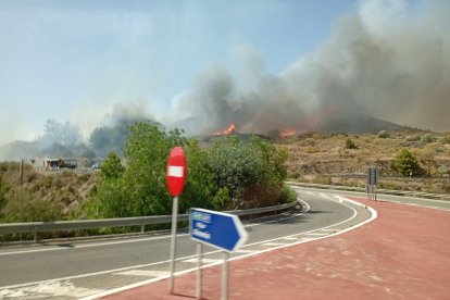 Incendio forestal en Los Gallardos.