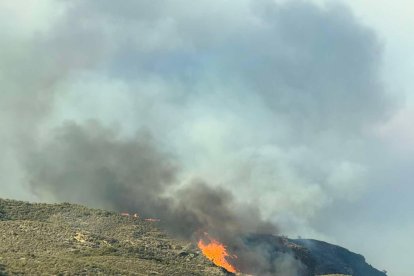 Incendio forestal en Los Gallardos.