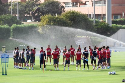Día I del Almería de Pimienta con 30 futbolistas en el campo Anexo.