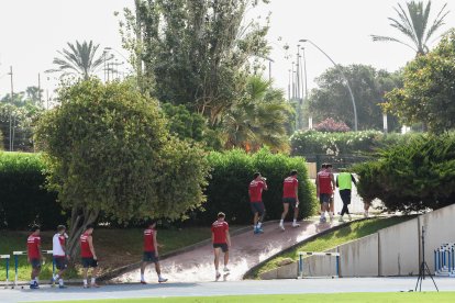 Día I del Almería de Pimienta con 30 futbolistas en el campo Anexo.