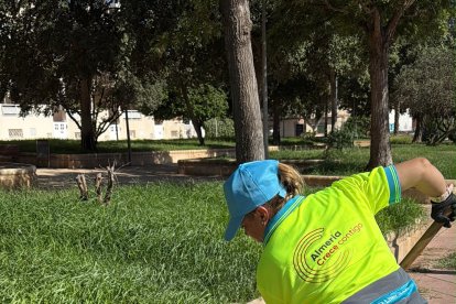 El servicio de Feria contará con 78 operarios de limpieza y recogida de residuos.