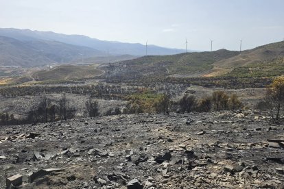 Superficie quemada por el incendio de Las Tres Villas
