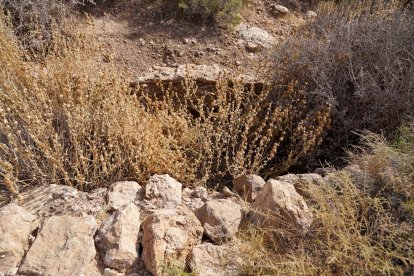 La trinchera de Vícar