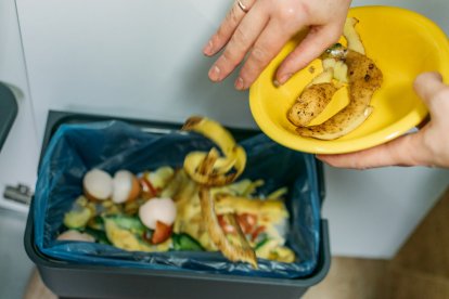 El 77,5 % de los alimentos desperdiciados se desecha tal y como se compró