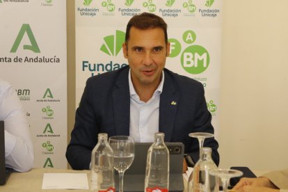 Como presidente de la Federación Andaluza de Balonmano.