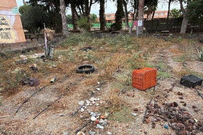 Así estaba el huerto antes de la operación limpieza.