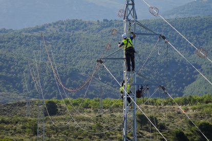 Trabajos de mantenimiento de una línea eléctrica realizados por profesionales de MOELMO.