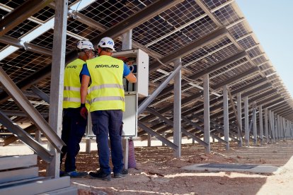 Profesionales de MOELMO durante los trabajos en una instalación de energía fotovoltaica.